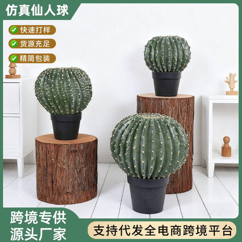 仿真仙人球盆栽人造热带沙生植物沙漠绿植仙人掌造景门店装饰摆件