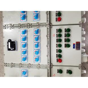 应急照明集中电源防爆箱防爆控制箱防爆接线箱防爆配电箱浙创