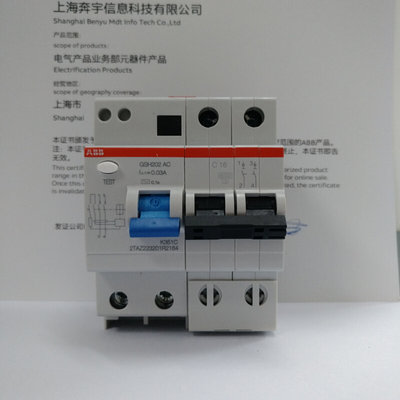 ABB 触电保护器 空气断路器 2P 16A 漏电保护器 GSH202-C16