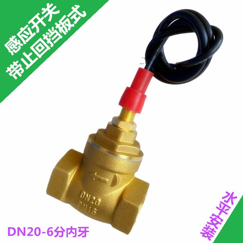 DN20挡板式6分水流感应开关流量传感器高温型黄铜干簧管感应开关