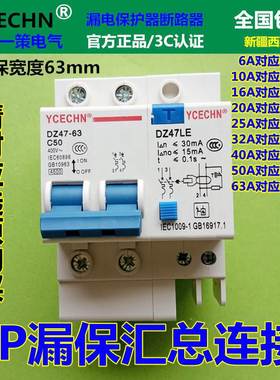 家用漏电保护器电闸总开2P50A空开带漏保C40双线空气开关DZ4763Le