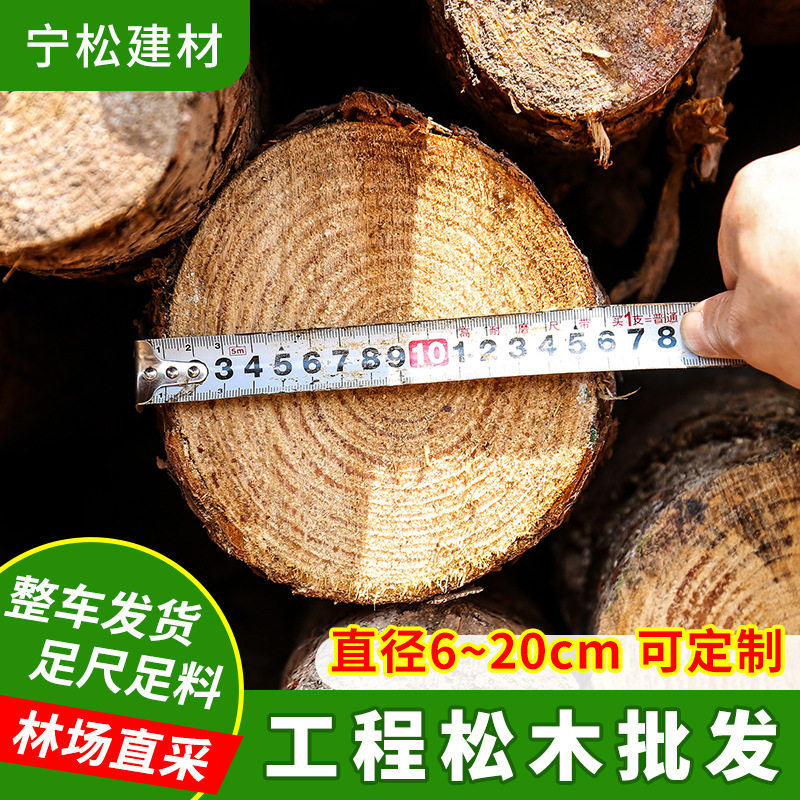 林场直发落叶松木桩批发土建工程松木桩原木河道围岸多规格打桩木