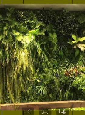 仿真精美植物墙景观工程人造热带植物墙仿真阻燃绿植墙植物