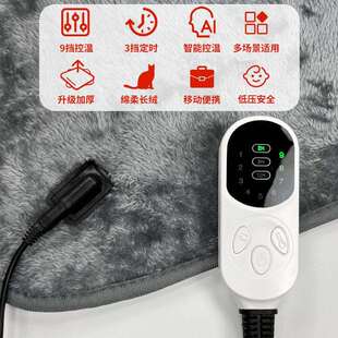 车载电热毯12v户外露营保暖发热床垫房车汽车货车单双人暖身盖毯