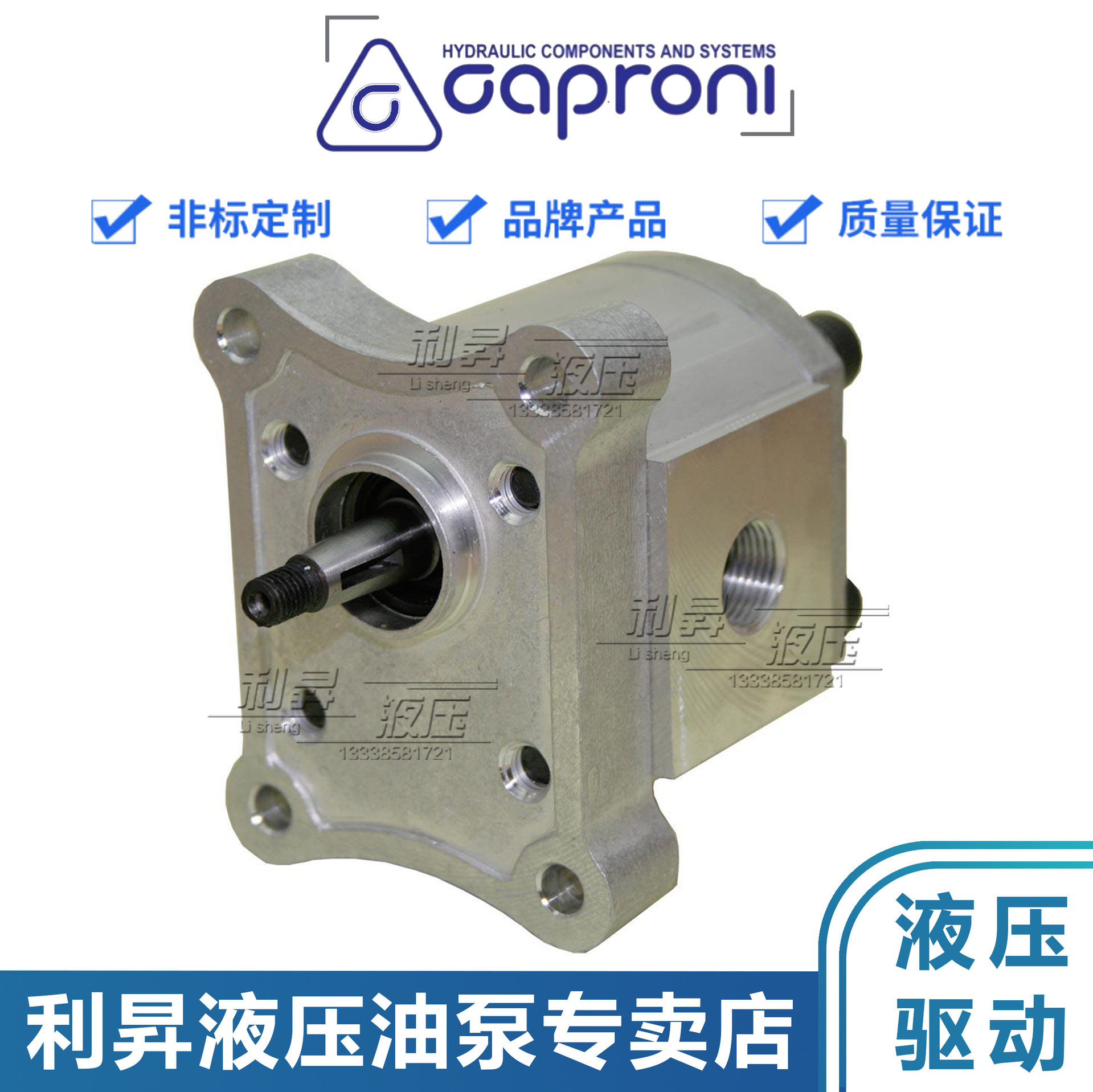 欧洲进口caproni卡普罗尼液压齿轮泵10A10C00A00C系列油泵