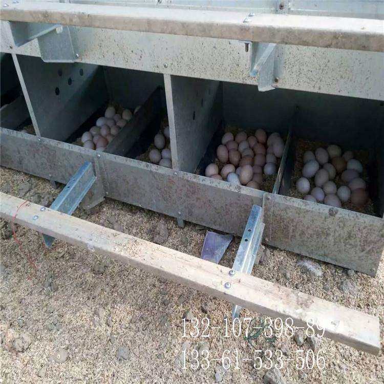 鸡用集蛋窝人工捡蛋窝防晒透气鸡产蛋窝12窝鸡蛋窝,电子元器件市场,其它元器件,淘宝优惠券,粉丝福利购,淘宝优惠卷