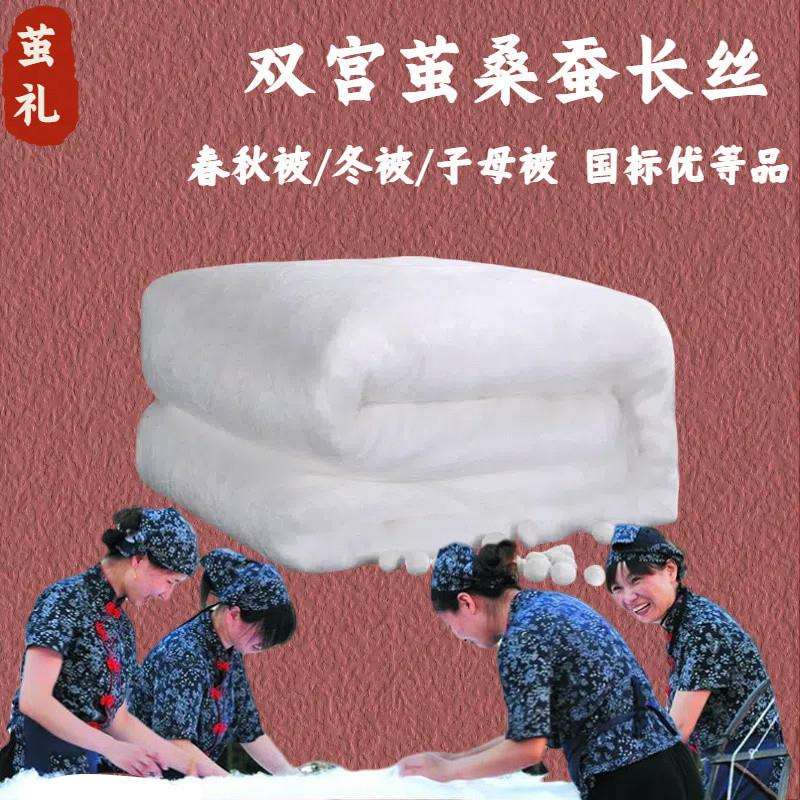 DT蚕丝被1OO%桑蚕丝桐乡手工丝绵被春秋被芯冬被纯棉加厚双人子母