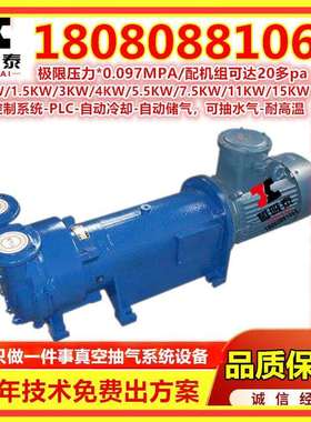 2BV6121型真空泵江苏水环真空泵2BV托架式运气体传输泵高真空度