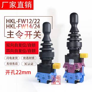 红开双向四向自复位自锁十字开关HKL 摇杆主令开关 FW22