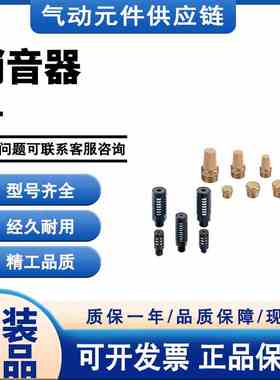 CHELIC气立可SL-M5/SLB-M5/SLP-01/SLR-01/SLBR-01/铜/塑胶消音器