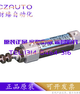 APMATIC气缸AEC/AEM12/16/20/25X125X160X200X250X300-L/F/S/Y/P