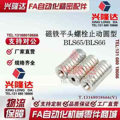替代怡和达BLS65/66/A8/A10/A12/A15/A20/A25-T2/T3/T4/T5/T6磁铁