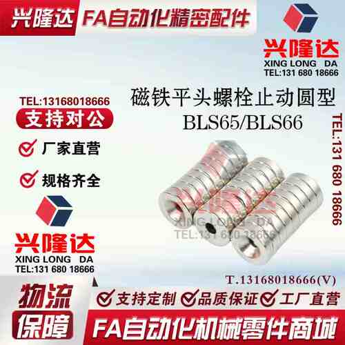 替代怡和达BLS65/66/A8/A10/A12/A15/A20/A25-T2/T3/T4/T5/T6磁铁