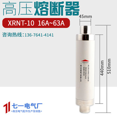 XRNT10-24KV10A16A20A40安50A63A80A高压熔断器高分断限流510熔管