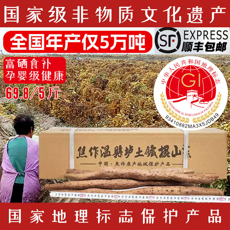 垆小山官方正宗非物质文化遗产怀山药 河南焦作温县垆土铁棍山药