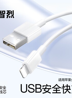 适用iPhone14数据线13promax12苹果11正USB充电线17器PD20w手机XS/XR快充8p车载iPad平板12闪充充电线7plus
