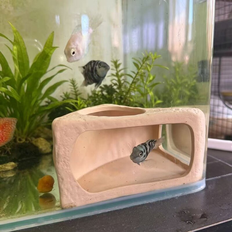 陶瓷鱼虾躲避屋迷你鹦鹉鲷罐可视化繁殖窝鱼缸造景摆件躲避洞