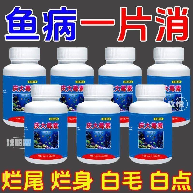 庆大霉素鱼用金鱼锦鲤消毒烂尾烂鳍白点专用烂身药病鱼药白毛炸鳞