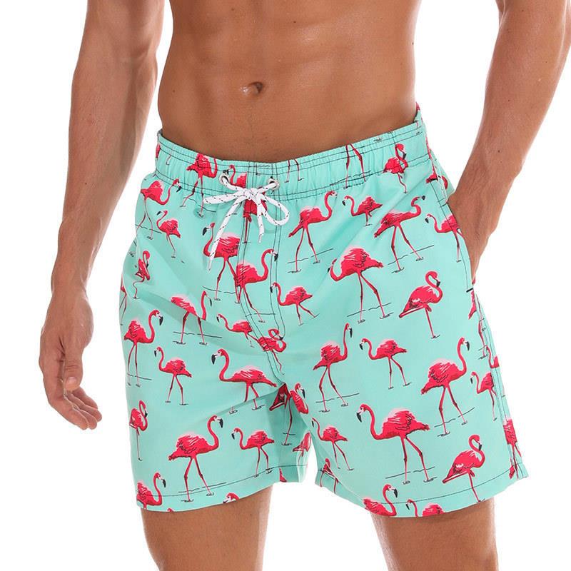 Mens Swim Trunks Dry Shorts Pocket Mesh Lining Funny