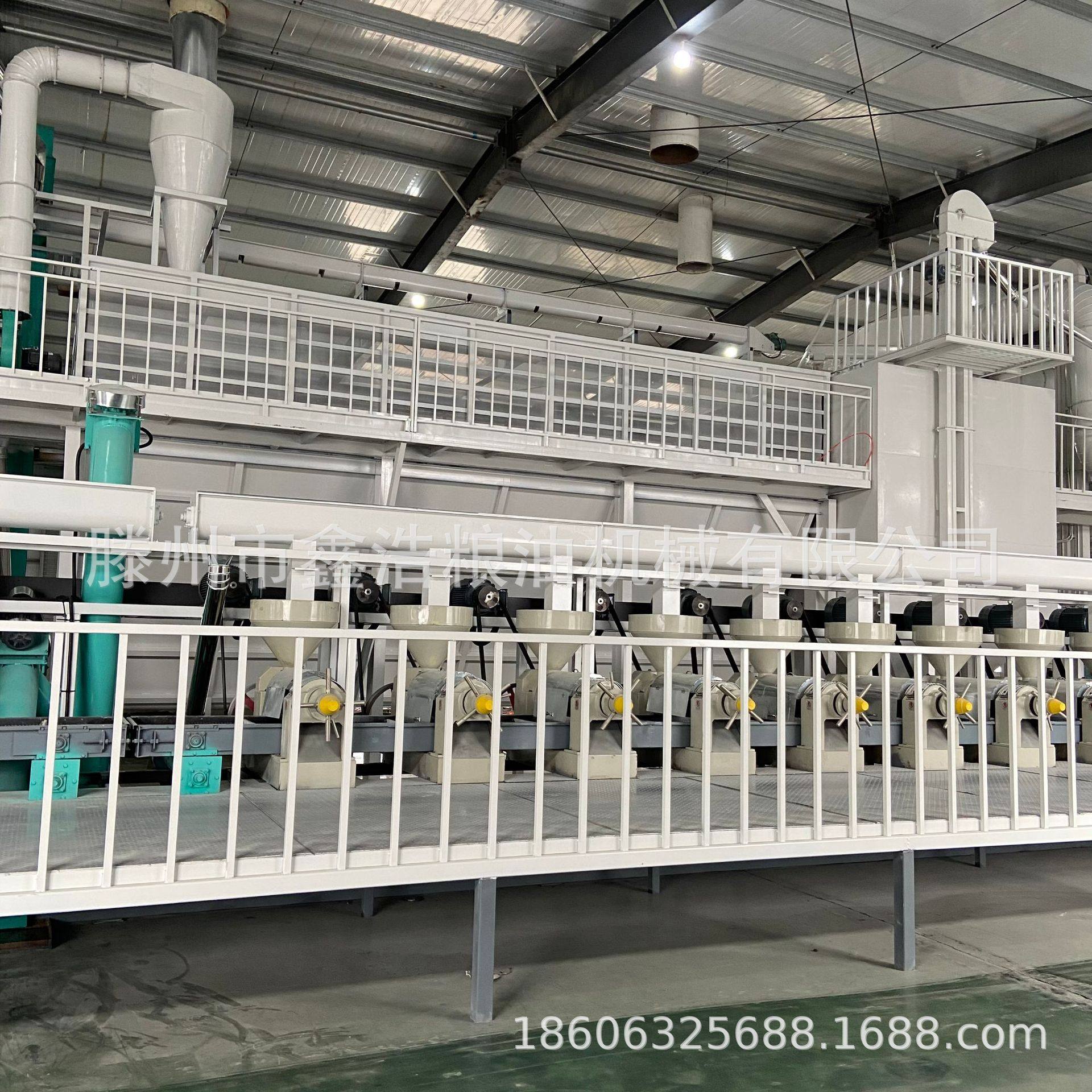 大型全自动大豆榨油机 玉米花生冷榨油设备