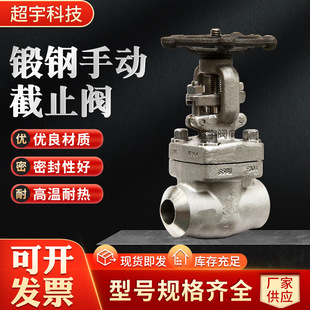 锻钢手动截止单向阀门 Z41Y型号 厂家自产一体式 1500lb闸阀Z41H