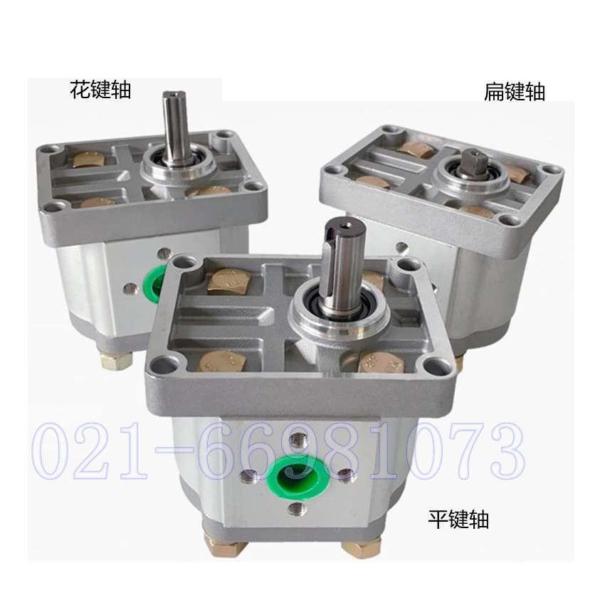 CBN-E306D 上海啸力  CBN-F306FPL  齿轮泵 法兰螺纹 左旋右旋