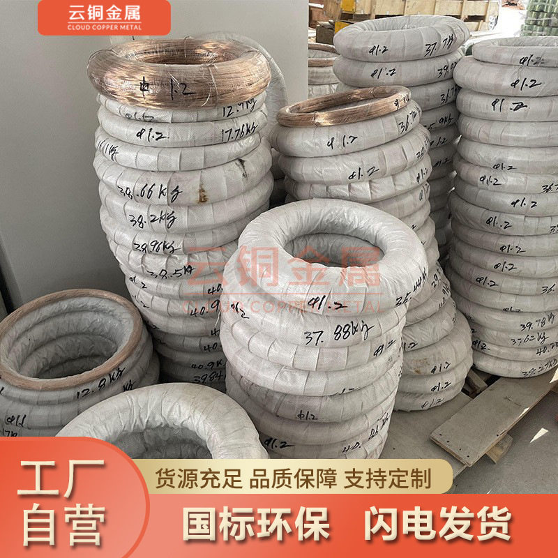 质量保证QSn6.5-0.1/C5191磷铜线0.05mm0.1mm磷铜丝零售直销