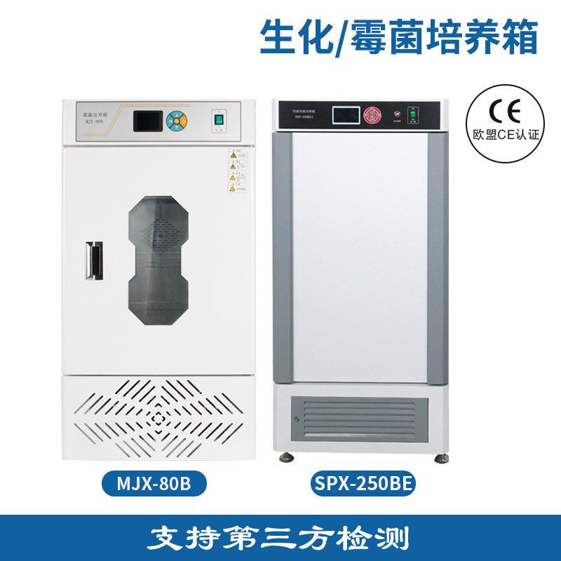 SPX恒温恒湿细菌霉菌培养箱