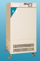 HWS-250恒温恒湿箱250L