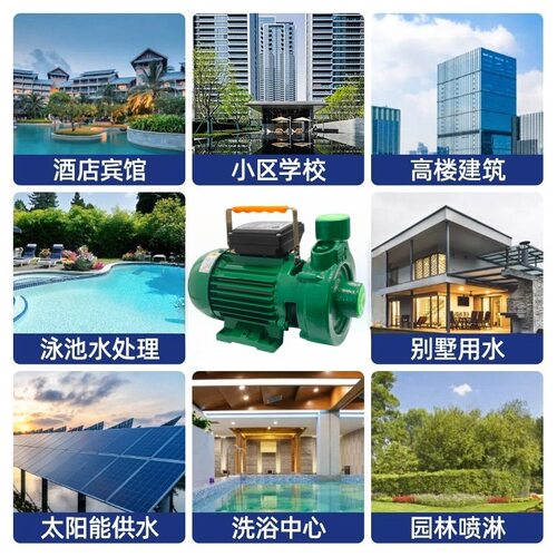 广东凌霄DK系列家用自吸清水泵小型抽水泵井水泵楼层增压泵加压泵