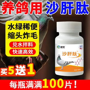 雄牧沙肝肽正品赛信鸽子专用调理肠道腹拉泻水绿稀便缩头炸毛特效