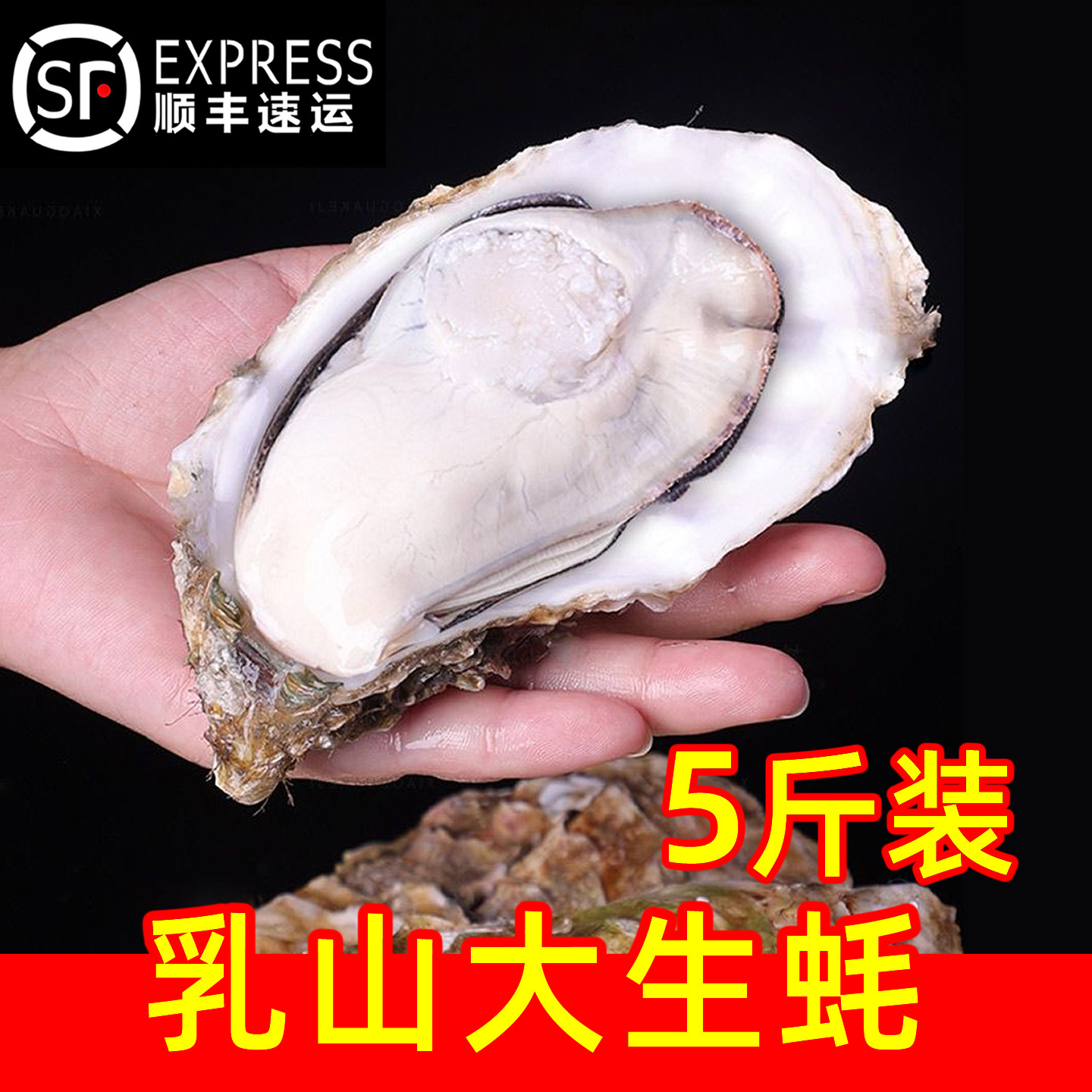 生蚝鲜活特大新鲜山东乳山海鲜水产海蛎子贝壳牡蛎5斤整箱源头发,水产肉类/新鲜蔬果/熟食,生蚝,淘宝优惠券,粉丝福利购,淘宝优惠卷
