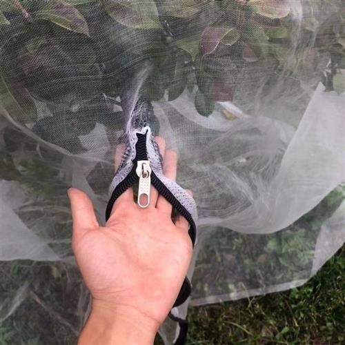 杨梅水果树罩樱桃蚊帐枇杷防虫果蝇 罗幔防鸟网腊肉网40目蓝莓网
