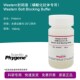 磷酸化抗体专用 100mL BloIcking Western封闭液 Buffer 科研实验