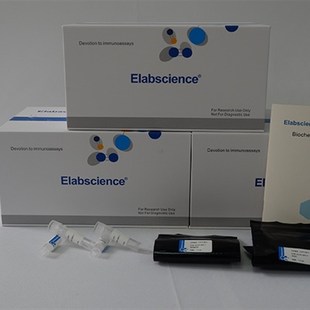 K236 Elabscieence谷草转氨酶AST 赖氏法E GOT比色法测试盒