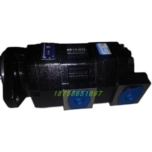 40W AFL 2050 长源工程机械双联齿轮油泵CBGTBLA2063