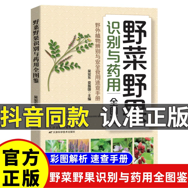 野菜野果识别与药用全图鉴正版实用读本常见野菜野果图鉴高清精编野外植物认采百科指南实用手册零基础入门养生保健对症食疗书籍