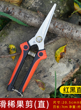 修枝剪园林园艺j专用不锈钢剪刀家用省力修花修剪果树摘果树枝花