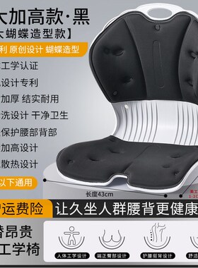 德国新款办公室久坐不累护腰坐垫矫正坐姿神器腰部支撑靠垫坐姿椅