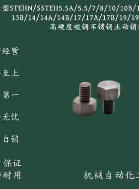 STEHN/SSTEH5.5A/5.5/7/8/10B/13AB/14AB/17AB/19AB止动销螺纹型