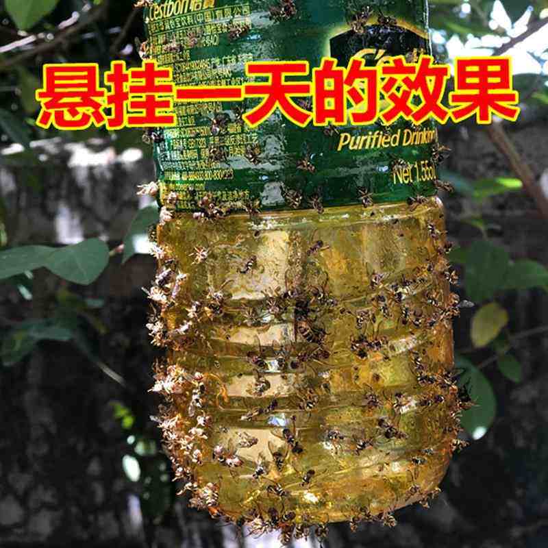 瓜果实蝇针蜂诱粘剂昆虫诱捕剂杀果蝇药粘胶诱黏果蝇诱捕器引诱剂