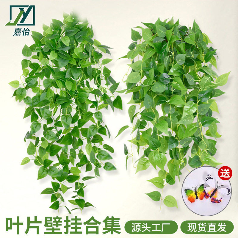 仿真绿萝壁挂植物室内装饰绿藤人造塑料壁挂花吊篮藤条壁挂假绿植图片