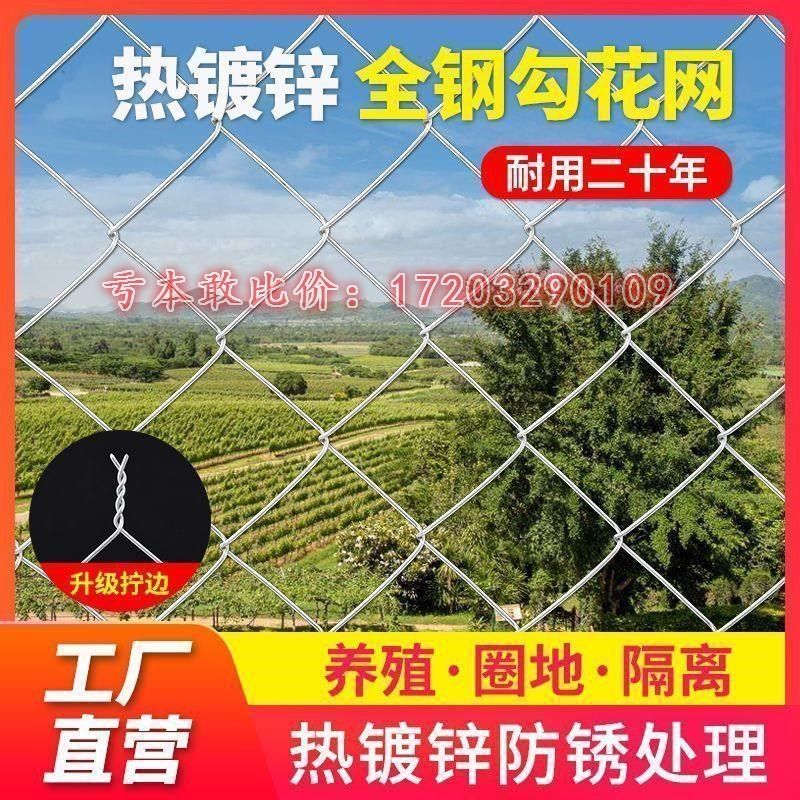 热镀锌钢丝勾花网养殖鸡鸭铁丝网拦牛羊果园围网养狗菱形网隔离网,珠宝/钻石/翡翠,翡翠裸石/蛋面,淘宝优惠券,粉丝福利购,淘宝优惠卷