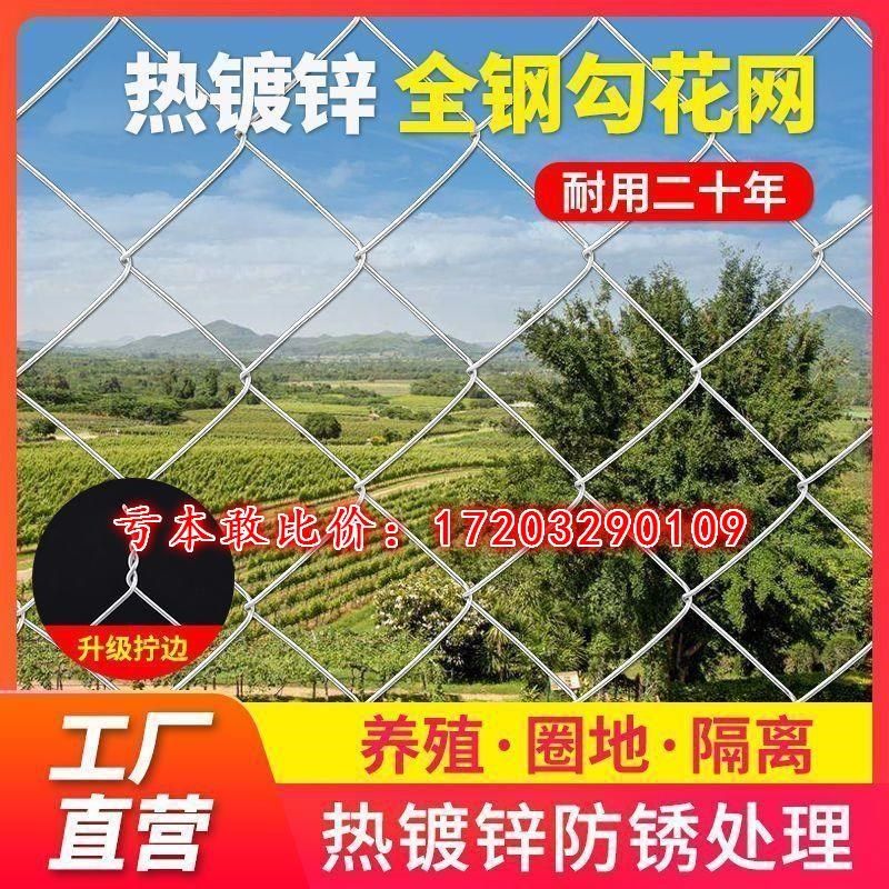 热镀锌钢丝勾花网养殖鸡鸭铁丝网拦牛羊果园围网养狗菱形网隔离网,珠宝/钻石/翡翠,翡翠裸石/蛋面,淘宝优惠券,粉丝福利购,淘宝优惠卷