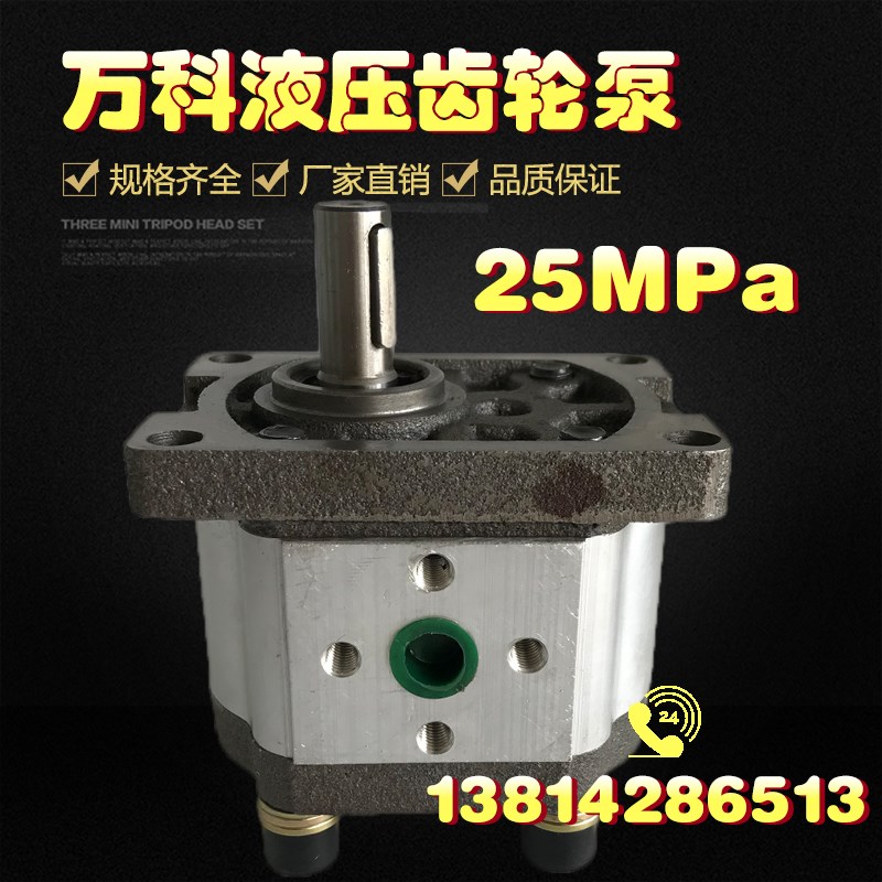 齿轮泵 液压油泵CBN-G310 G314 G306 G320 G325 G316淮安万科液压