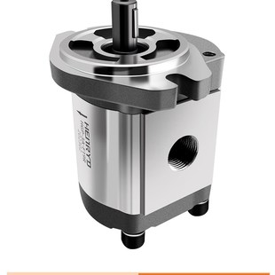 30R F8R F17 F14 F6R F11 RGP液压齿轮泵总成HGP F23