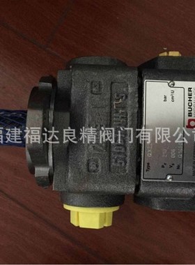 瑞士布赫液压阀液压泵齿轮泵BUCHER BREL200-A38-10-E0G