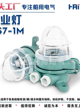 船用工程塑料白炽作业灯DS7-1M吸灯式露天场所甲板照明灯24V15W