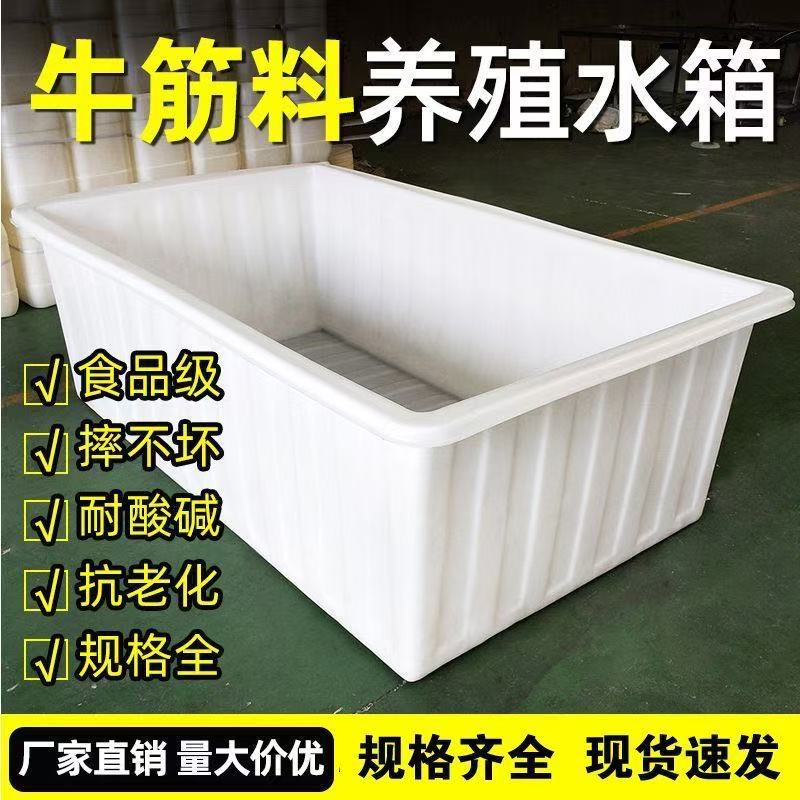 加厚牛筋水箱塑料桶水箱家用长方形大容量养鱼卖鱼养殖储水桶浅盆