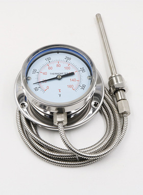 WTQ/WTZ-280不锈钢304压力式温度计 锅炉印染水油温表 远传温度计